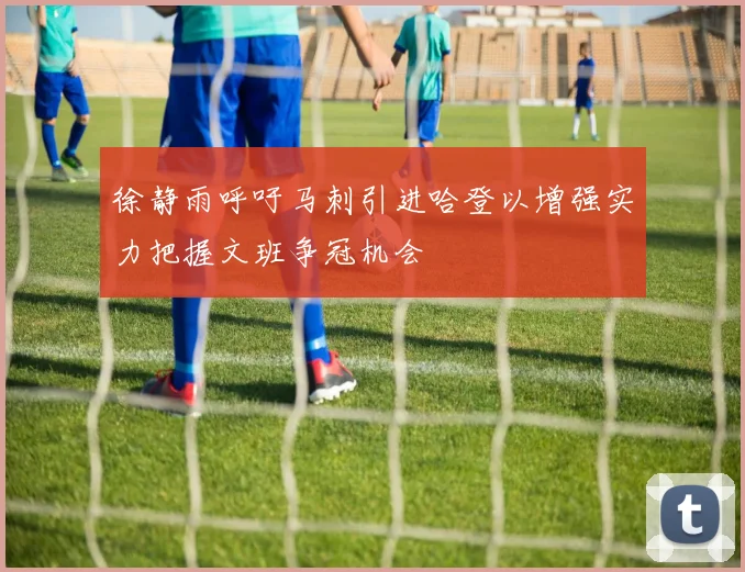 徐静雨呼吁马刺引进哈登以增强实力把握文班争冠机会